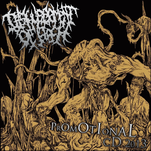 Disfigurement Of Flesh : Promotional CD 2013